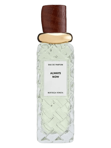 Bottega Veneta Always Now