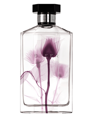 Stella McCartney Sheer Stella 2011