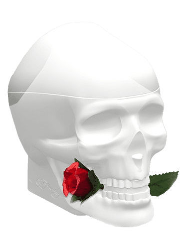 Christian Audigier Ed Hardy Skulls & Roses for Her