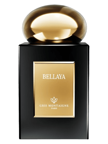 Gris Montaigne Paris Bellaya