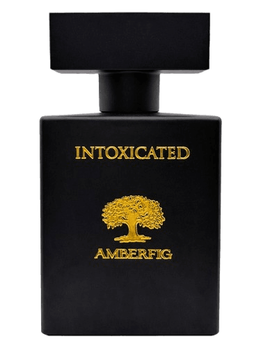 Amberfig Intoxicated