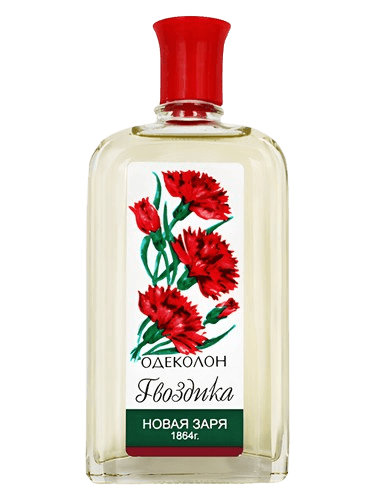 Новая Заря (The New Dawn) Гвоздика (Carnation)