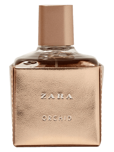 Zara Zara Orchid 2017