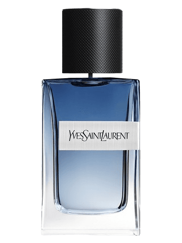 Yves Saint Laurent Y Live