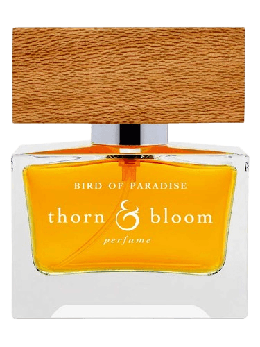 Thorn & Bloom Bird of Paradise