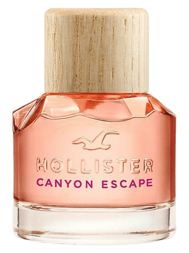 Hollister Hollister Canyon Escape Woman