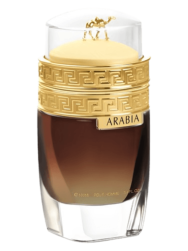 Le Chameau Arabia Pour Homme