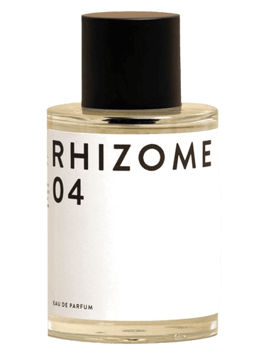 Rhizome Rhizome 04