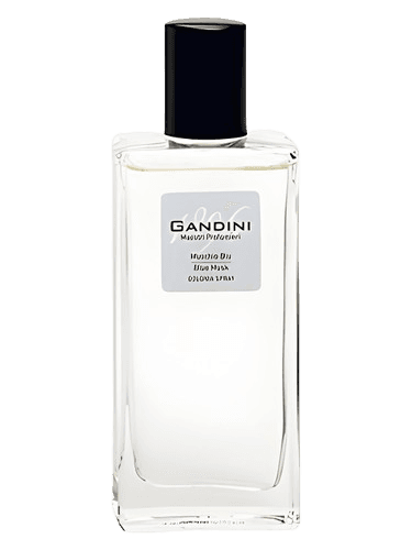 Gandini 1896 Blue Musk