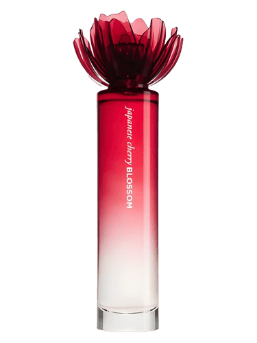 Bath & Body Works Japanese Cherry Blossom 2011