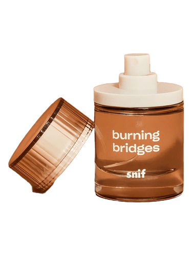 Snif Burning Bridges