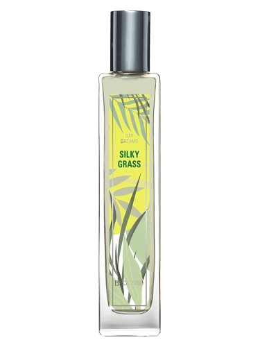 Brocard Silky Grass