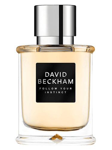 David Beckham Follow Your Instinct