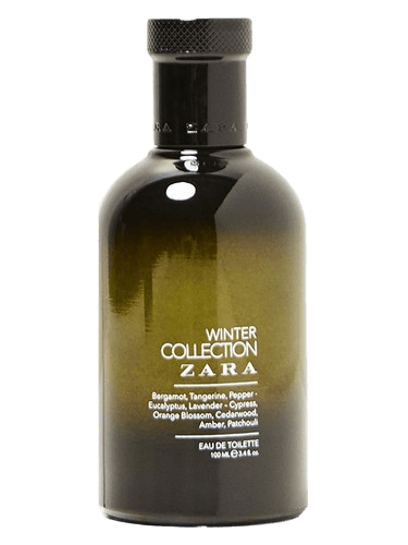 Zara Winter Collection