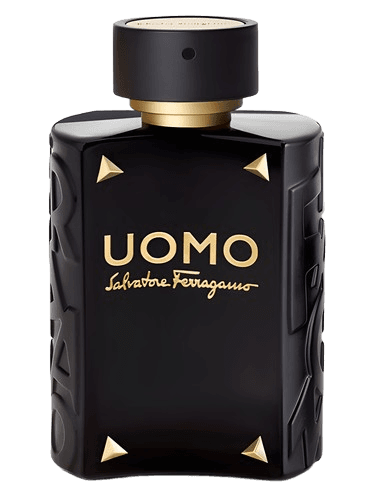 Salvatore Ferragamo Uomo Salvatore Ferragamo Limited Edition