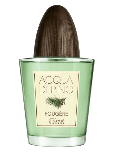 Pino Silvestre Acqua di Pino Fougere