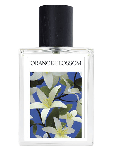 The 7 Virtues Orange Blossom