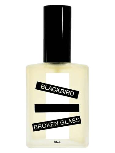 Blackbird Broken Glass