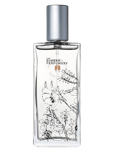 Burren Perfumery Frond
