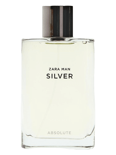 Zara Silver Absolute