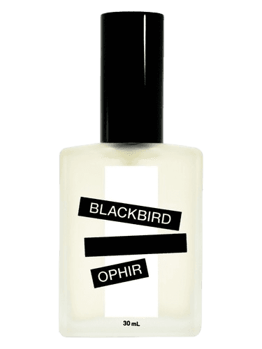 Blackbird Ophir
