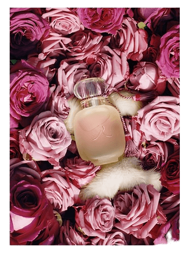 Les Parfums de Rosine Une Folie de Rose