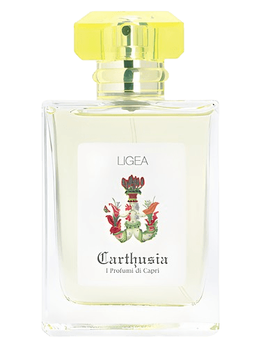 Carthusia Ligea (Ligea la Sirena)