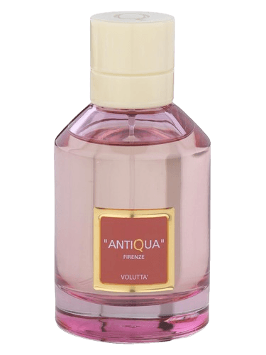 Antiqua Firenze Voluttà