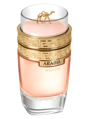 Le Chameau Arabia Madame