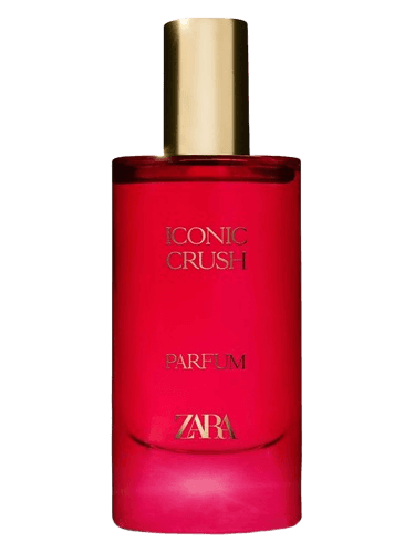 Zara Iconic Crush