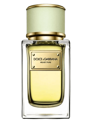 Dolce&Gabbana Velvet Pure