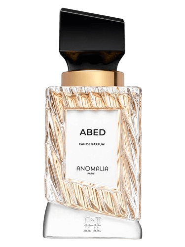 Anomalia Paris Abed