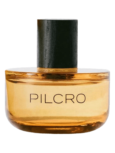 Anthropologie Pilcro