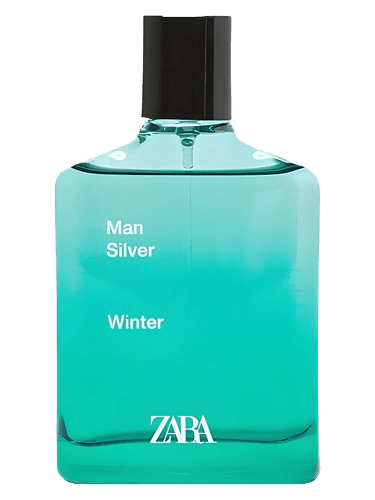 Zara Man Silver Winter