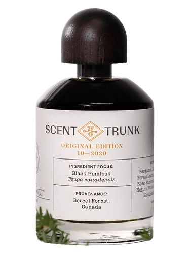Scent Trunk Black Hemlock