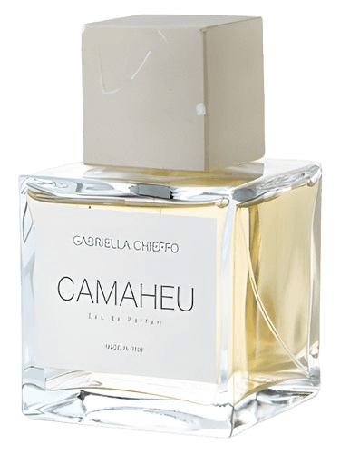 Maison Gabriella Chieffo Camaheu