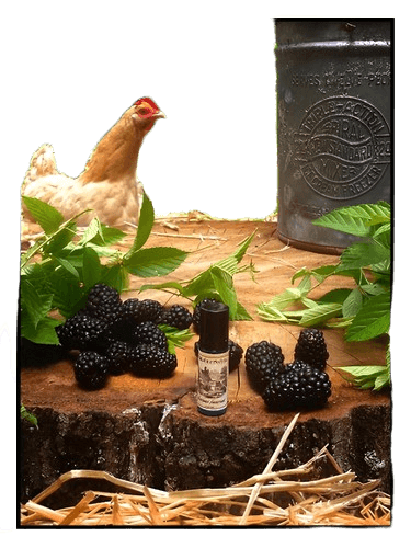 Solstice Scents Blackburn Farmstead