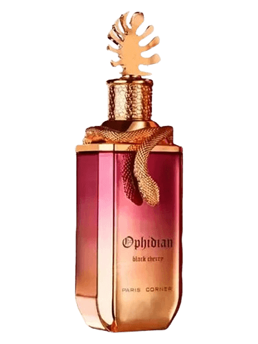 PARIS CORNER Ophidian Black Cherry