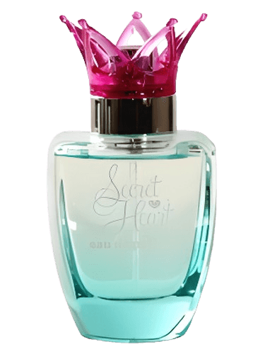 Disney Princess Secret Heart