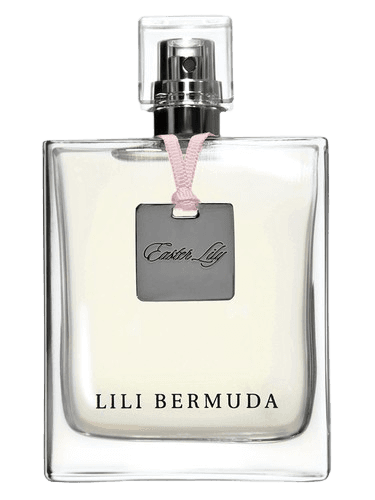 Lili Bermuda Easter Lily