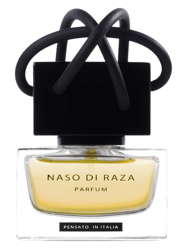 Naso Di Raza La Chaise Vide