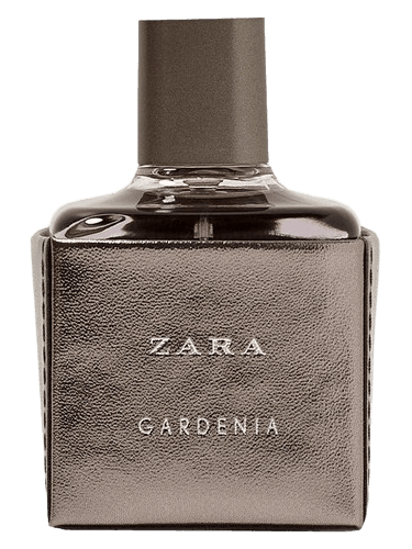Zara Zara Gardenia 2017
