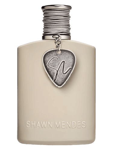Shawn Mendes Signature II