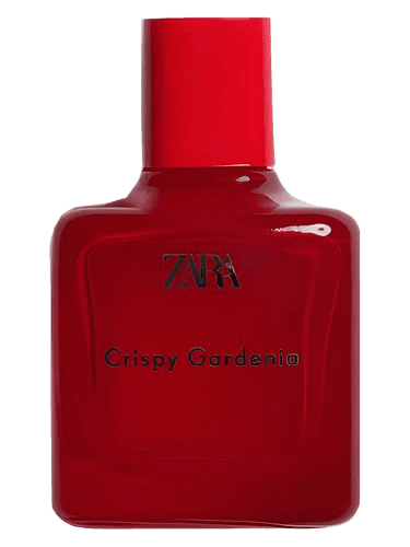 Zara Crispy Gardenia