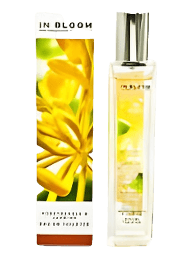 Marks & Spencer Jasmine and Honeysuckle