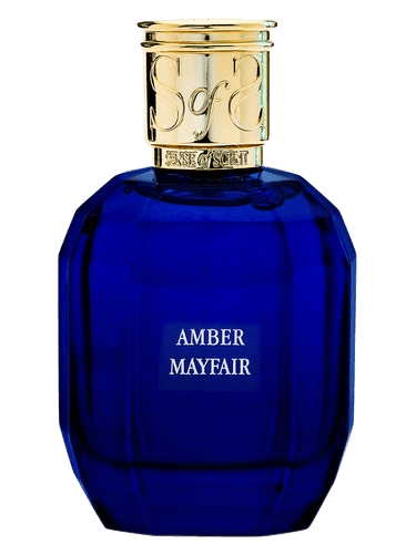 Sense of Scent Amber Mayfair