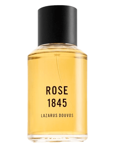 Lazarus Douvos Rose 1845