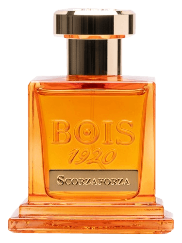 Bois 1920 Scorzaforza