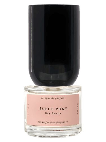 Boy Smells Suede Pony