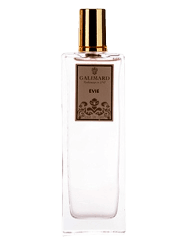 Galimard Evie